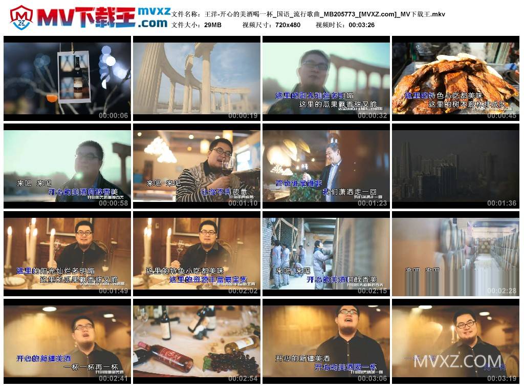 王洋-开心的美酒喝一杯_国语_流行歌曲_MB205773